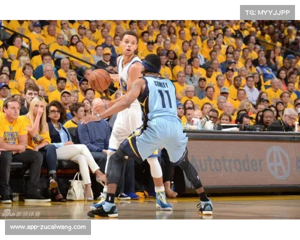 灰熊主场稍占优势，有望终结国王连败